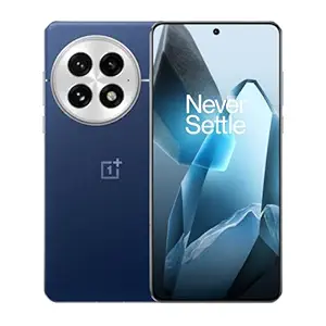 The OnePlus 13